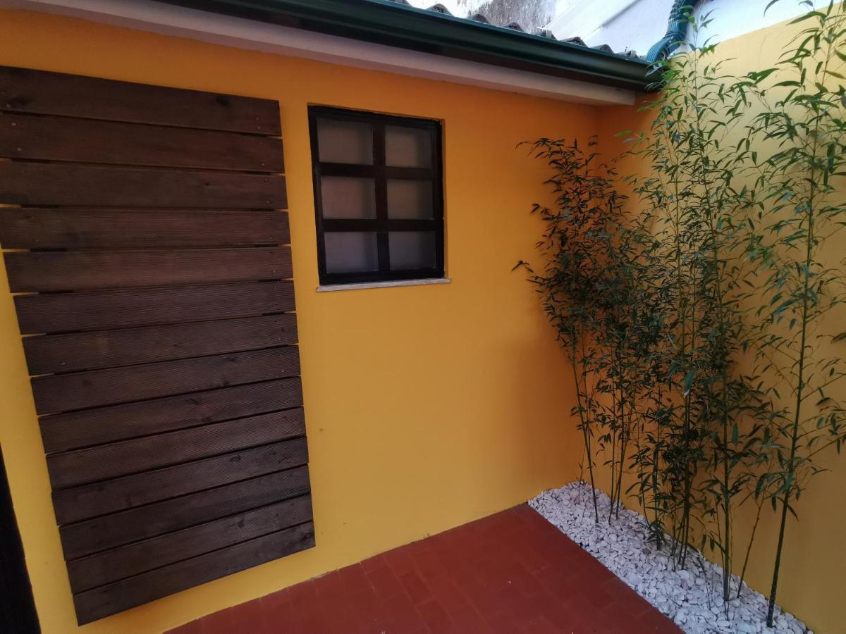 Villa Coimbra - Casa Inteira Екстер'єр фото